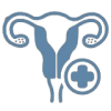 Ginecologia_ed_Ostetricia