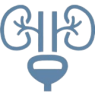 Urologia